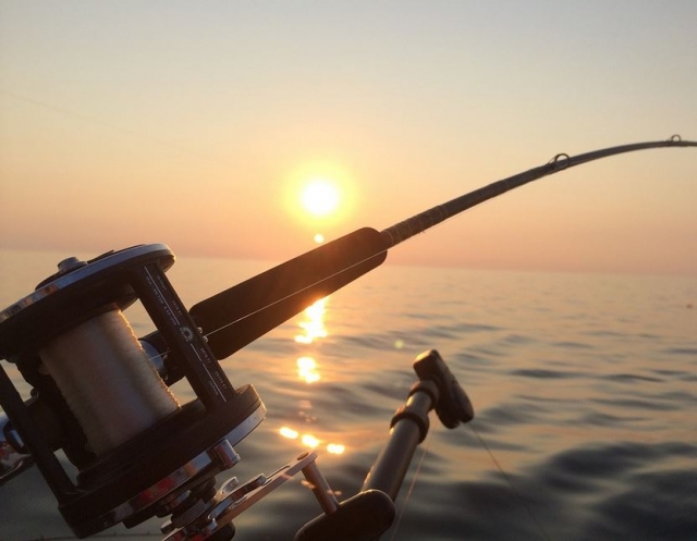 Momento perfecto de pesca
